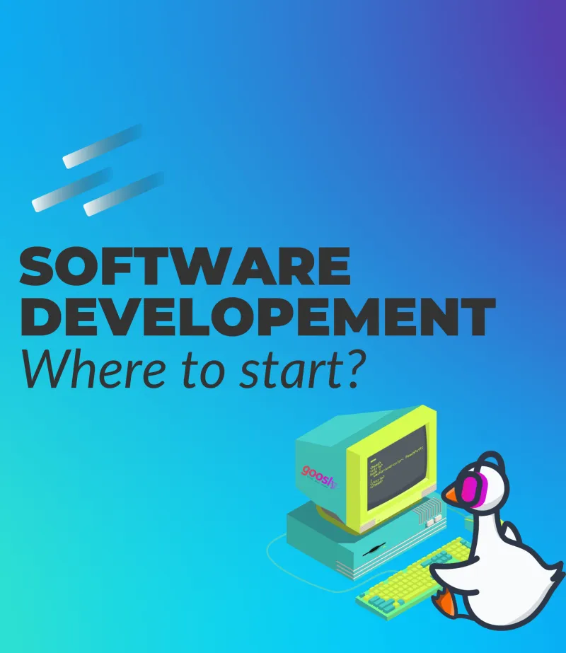 How to do Planning for Software Development